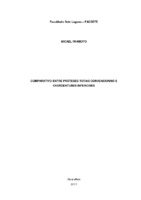 Monografia_Micael.pdf
