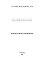 PRISCILLA DE CASTRO PELLISON FELICIANO.pdf