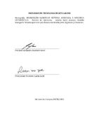Rafaella Kamiguchi Teixeira.pdf