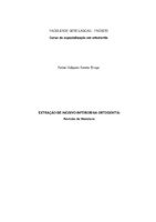 TCC RAFAEL (1).pdf