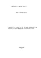 artigo tcc Renata Final (2).pdf