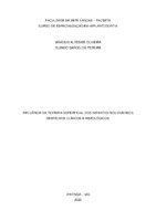 MONOGRAFIA - GLENDO BARCELOS PEREIRA.pdf