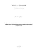 mono orto Raul E Ribeiro.pdf