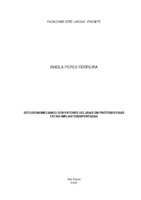 Mono Sheila Peres Ferreira.pdf