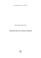 ARTIGO - RAFAEL PINHEIRO BORGES.pdf