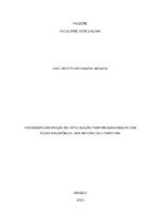 monografia Caio Cisotto do Amaral Munhoz Buco.pdf