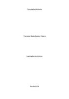LaminadosCerâmicosThamiresRibeiro.pdf