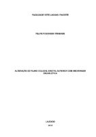 Monografia Felipe Foschiera Trindade FundeF.pdf