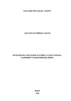 MONOGRAFIA LUÍS FELIPE ESPÍNDOLA - CORREÇÕES APÓS DEFESA.pdf