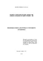 TCC Beatriz Steinbah da Silva.pdf