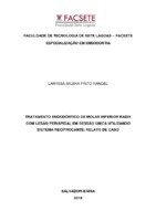 Laryssa Milena Pinto Rangel.pdf