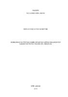 MONOGRAFIA_MARCUS.pdf
