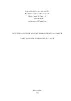 Trabalho TCC Enzo 2018.pdf
