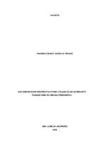 Amanda Ferraz.pdf