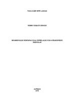 Monografia Remmy IMP Corrigida.pdf