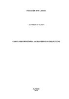 Laíza - camuflagem tcc.pdf