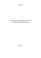 TCC Milena.pdf