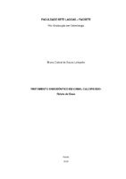 TCC - BRUNA LAFAYETTE.pdf