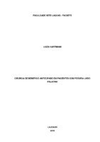 Luiza Hartmann - versão final corrigido Fabiana e prof portugues.pdf