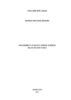 Mauricio_Arashiro_Monografia.pdf
