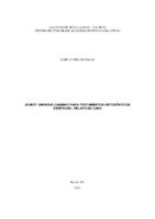 TCC-  LAIS LUANE.pdf