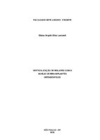 Eliana Angela Elias Leonardi_monografia.pdf