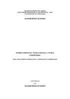 Monografia Dayanne  Braga - pdf.pdf