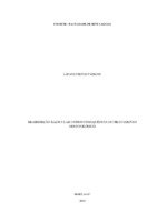 TCC LAUANE.pdf