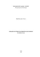 TCC - Rafael Pascoalino.pdf