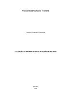 Leandro F Conceição_monografia (1).pdf