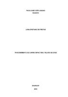 TCC LARA FREITAS.pdf
