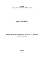 monografia ISABELA GALINA sim.pdf