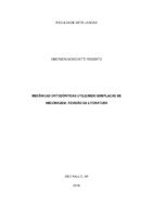 Monografia_EmersonMocchettiRossato_2018.pdf