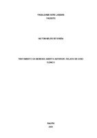 TCC NILTON ORTO 07.pdf