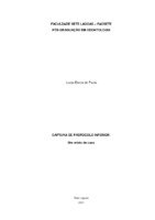 TCC LUCAS.pdf