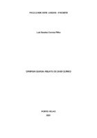 TCC - Luiz Saraiva.pdf