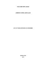 Josimara_Correa_Monografia.pdf