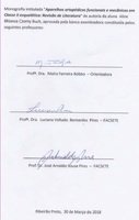 Aline Bhianca Czorny Buch - digitalizada (002).jpg
