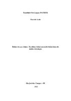 Marcelo Asato TCC.pdf