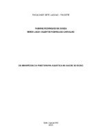 Fabiane Rodrigues de Souza e Maria Luiza Valentim Rodrigues Carvalho.pdf