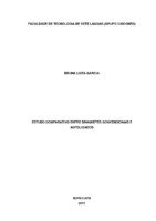 Monografia - Bruna Luiza Garcia.pdf