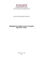 Manografia Mauro.pdf