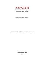 Vitória Guimarães Lempke.pdf