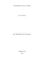 TCC Lucas Barros.pdf