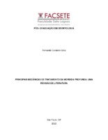 TCC FERNANDO.pdf
