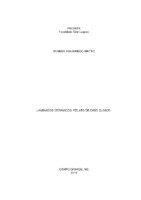 MONOGRAFIA FINALIZADA 2- RUBENS.pdf