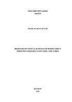 Rafael di Salvo Arthur.pdf