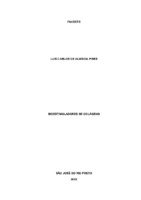 Luis Pires.pdf